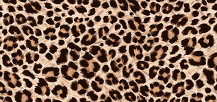 leopard print